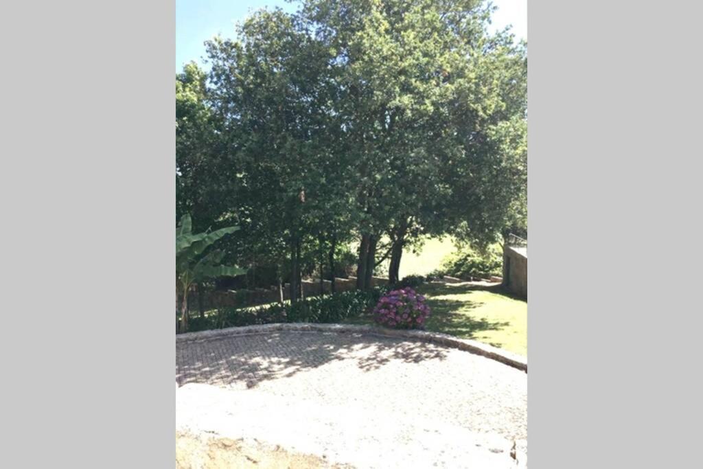 AlvarelhosPorto-Braga Country Side - Private Swimming Pool别墅 外观 照片
